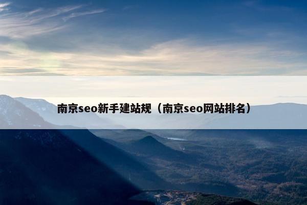 南京seo新手建站规（南京seo网站排名）