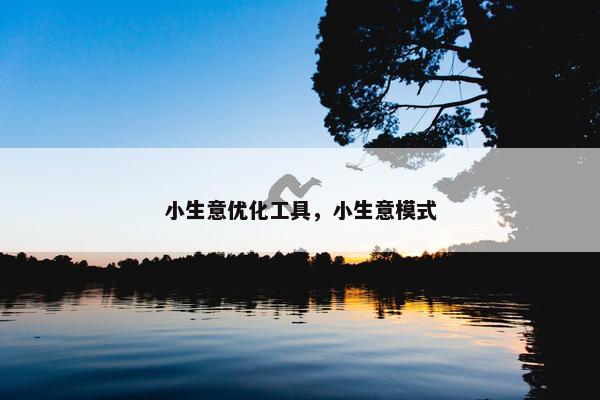小生意优化工具，小生意模式