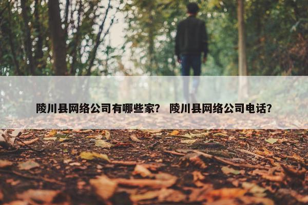 陵川县网络公司有哪些家？ 陵川县网络公司电话？