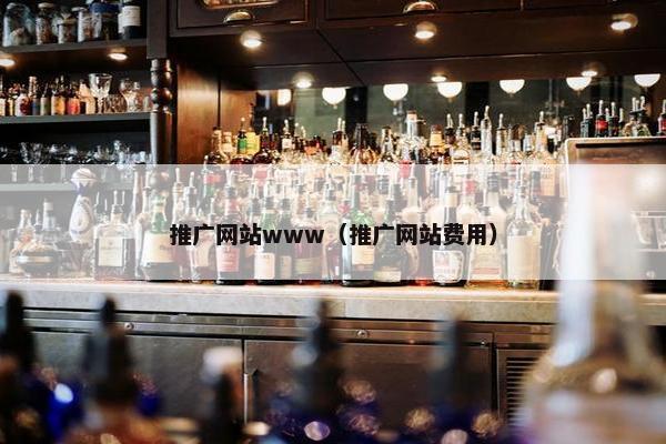 推广网站www（推广网站费用）