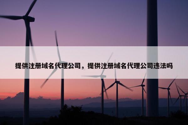 提供注册域名代理公司，提供注册域名代理公司违法吗