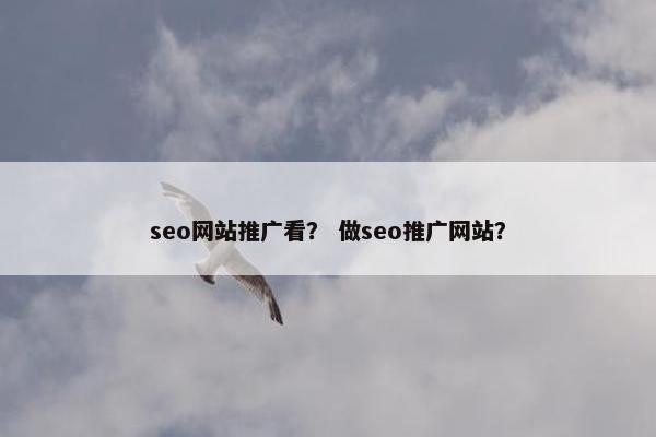 seo网站推广看？ 做seo推广网站？
