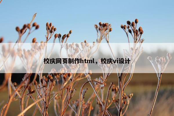 校庆网页制作html，校庆vi设计