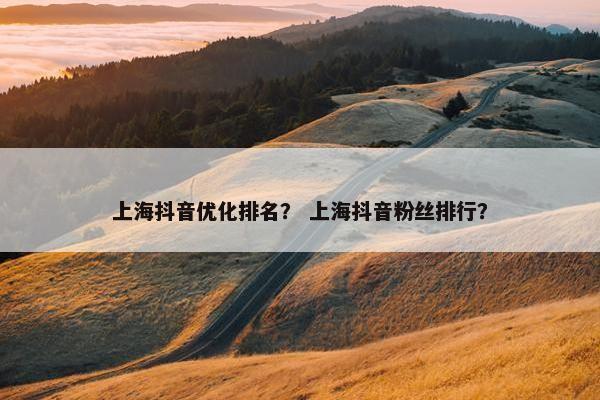 上海抖音优化排名？ 上海抖音粉丝排行？