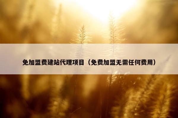 免加盟费建站代理项目（免费加盟无需任何费用）