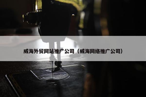 威海外贸网站推广公司（威海网络推广公司）