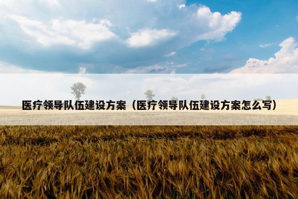 医疗领导队伍建设方案（医疗领导队伍建设方案怎么写）