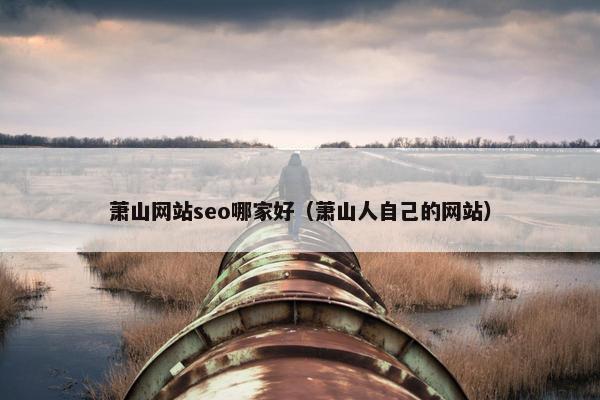 萧山网站seo哪家好（萧山人自己的网站）