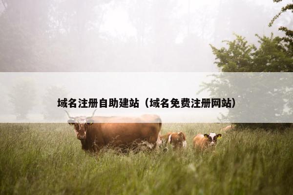 域名注册自助建站（域名免费注册网站）