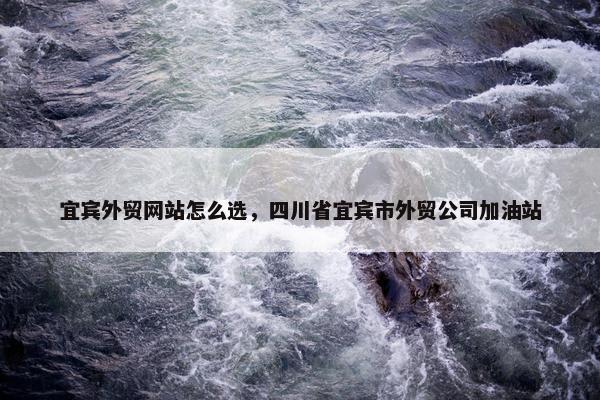 宜宾外贸网站怎么选，四川省宜宾市外贸公司加油站