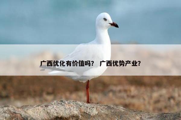 广西优化有价值吗？ 广西优势产业？