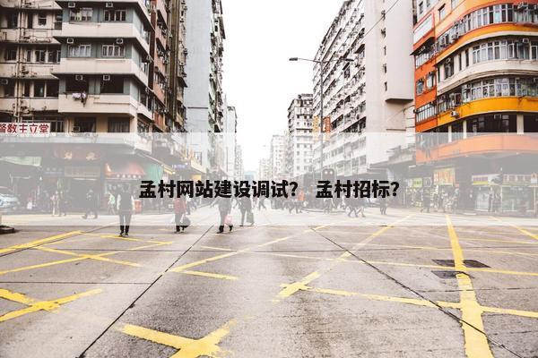 孟村网站建设调试？ 孟村招标？