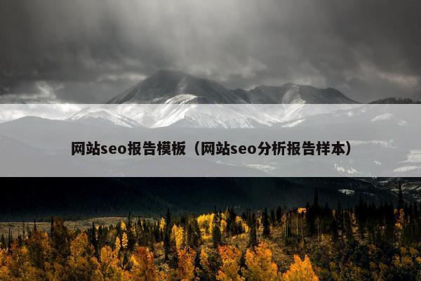 网站seo报告模板（网站seo分析报告样本）