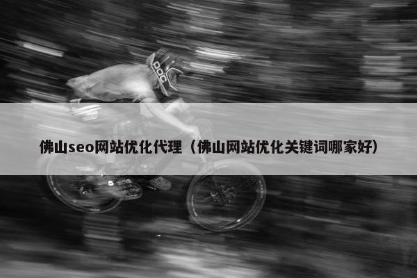 佛山seo网站优化代理（佛山网站优化关键词哪家好）