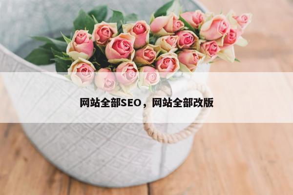 网站全部SEO，网站全部改版