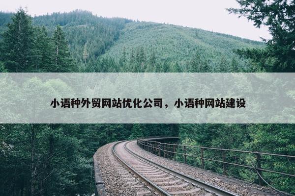 小语种外贸网站优化公司，小语种网站建设