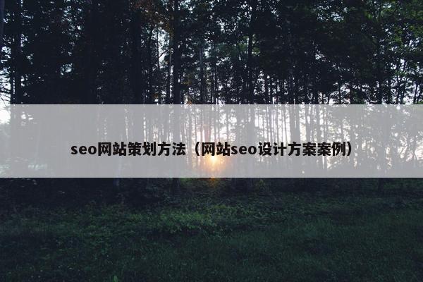 seo网站策划方法（网站seo设计方案案例）