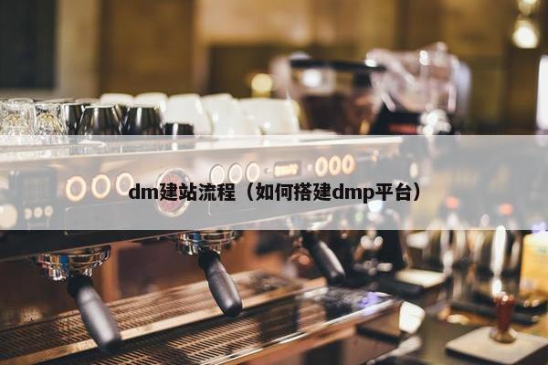 dm建站流程（如何搭建dmp平台）