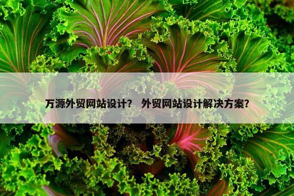 万源外贸网站设计？ 外贸网站设计解决方案？