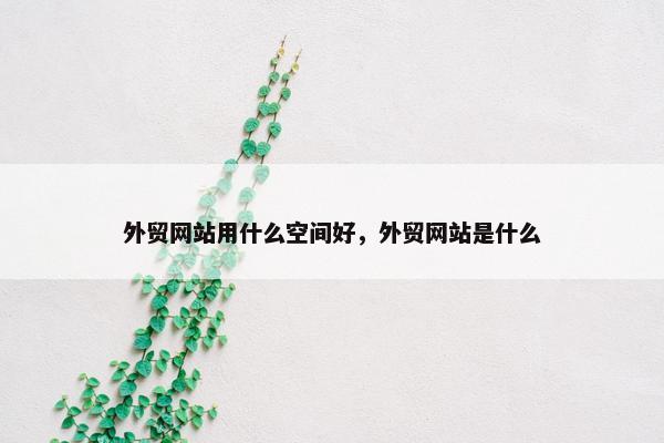 外贸网站用什么空间好，外贸网站是什么