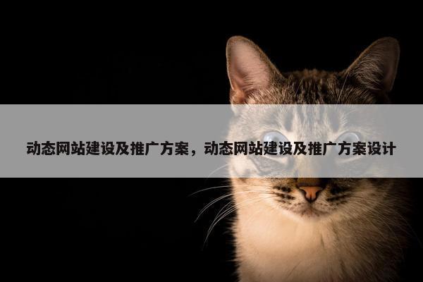 动态网站建设及推广方案，动态网站建设及推广方案设计