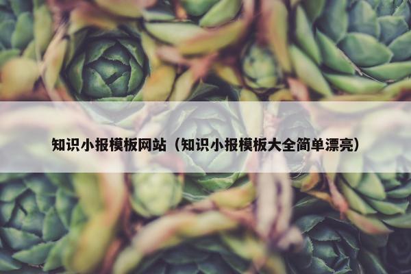 知识小报模板网站（知识小报模板大全简单漂亮）
