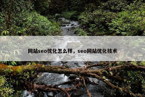 网站seo优化怎么样，seo网站优化技术