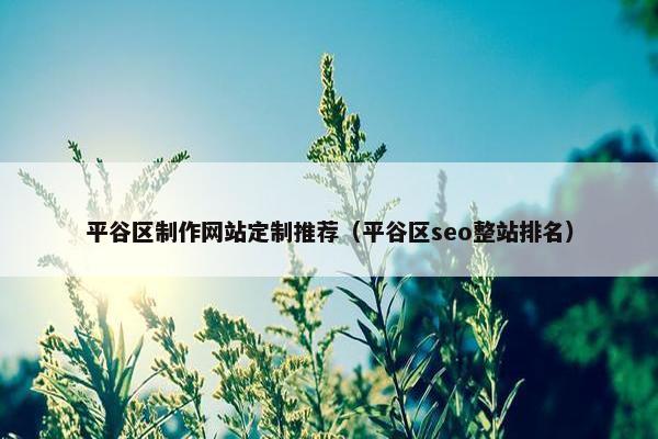 平谷区制作网站定制推荐（平谷区seo整站排名）