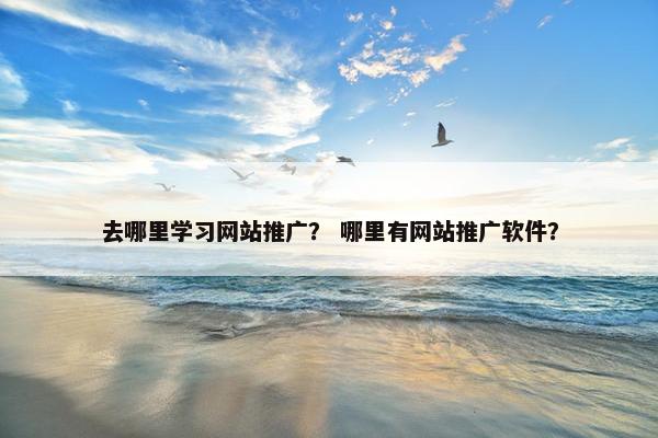去哪里学习网站推广？ 哪里有网站推广软件？