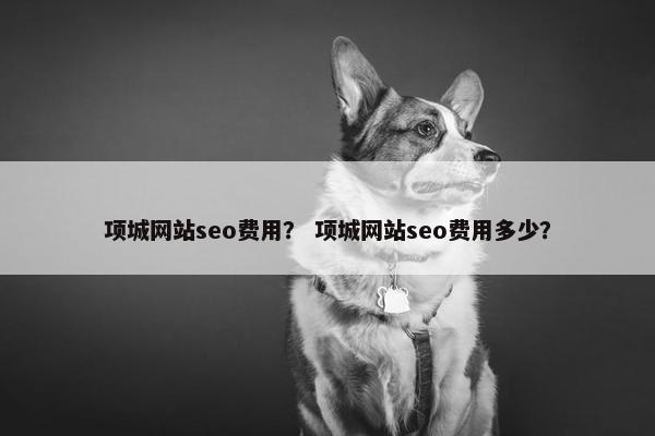 项城网站seo费用？ 项城网站seo费用多少？