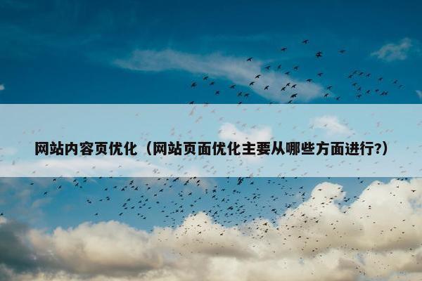 网站内容页优化（网站页面优化主要从哪些方面进行?）