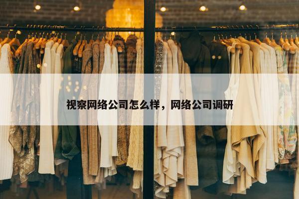 视察网络公司怎么样，网络公司调研