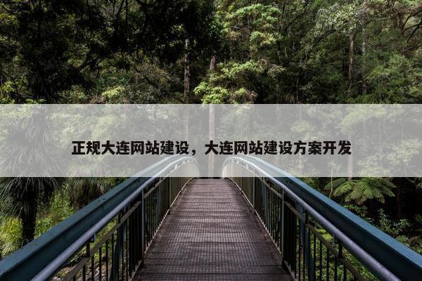 正规大连网站建设，大连网站建设方案开发