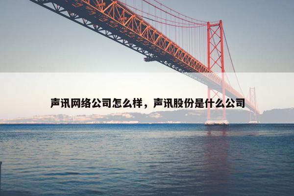 声讯网络公司怎么样，声讯股份是什么公司