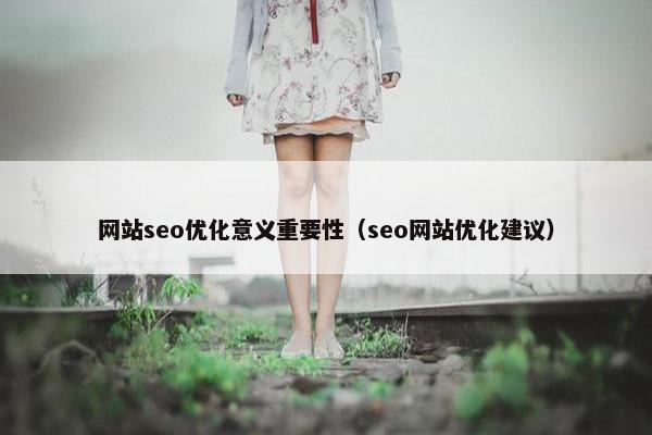 网站seo优化意义重要性（seo网站优化建议）