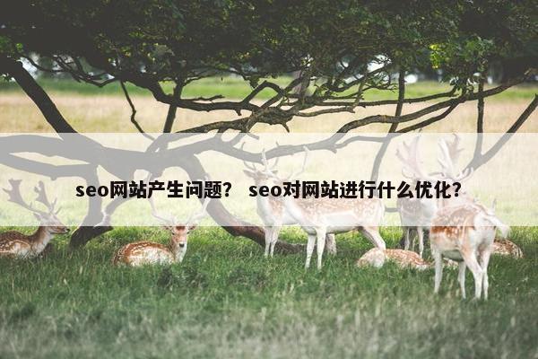 seo网站产生问题？ seo对网站进行什么优化？