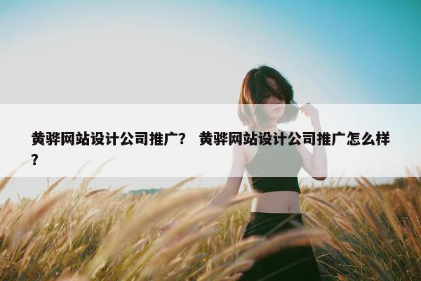 黄骅网站设计公司推广？ 黄骅网站设计公司推广怎么样？