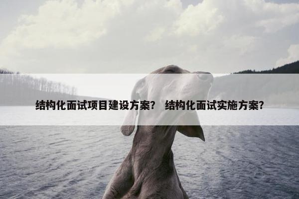 结构化面试项目建设方案？ 结构化面试实施方案？
