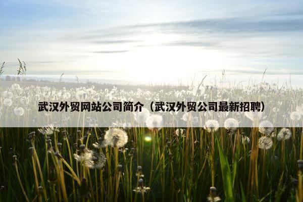武汉外贸网站公司简介（武汉外贸公司最新招聘）