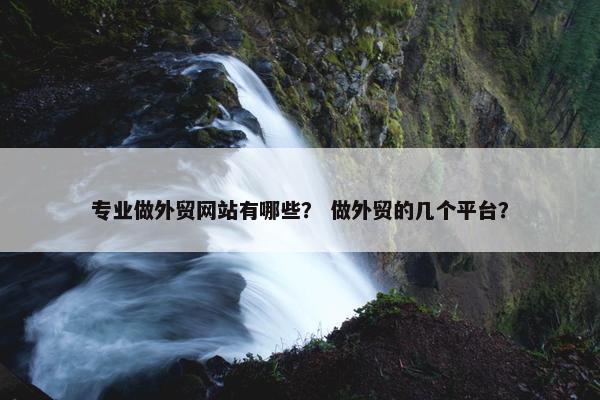 专业做外贸网站有哪些？ 做外贸的几个平台？