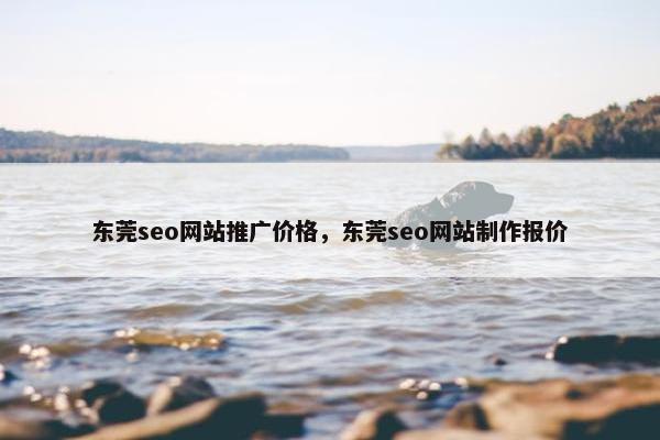 东莞seo网站推广价格，东莞seo网站制作报价