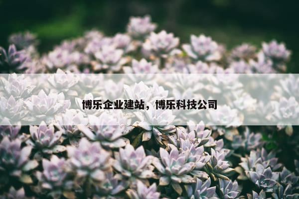 博乐企业建站，博乐科技公司
