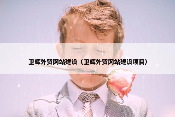 卫辉外贸网站建设（卫辉外贸网站建设项目）