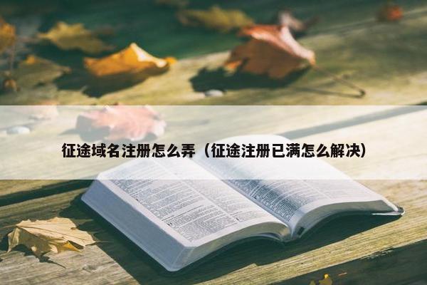 征途域名注册怎么弄（征途注册已满怎么解决）