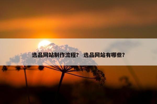 选品网站制作流程？ 选品网站有哪些？