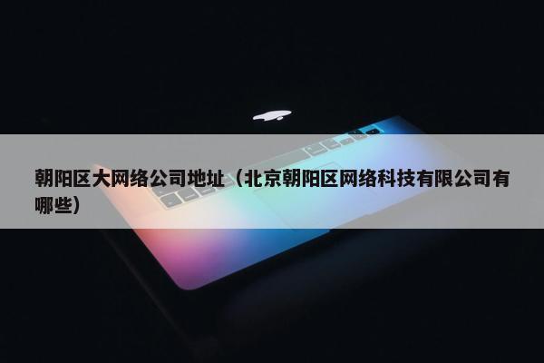 朝阳区大网络公司地址（北京朝阳区网络科技有限公司有哪些）