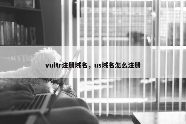 vultr注册域名，us域名怎么注册