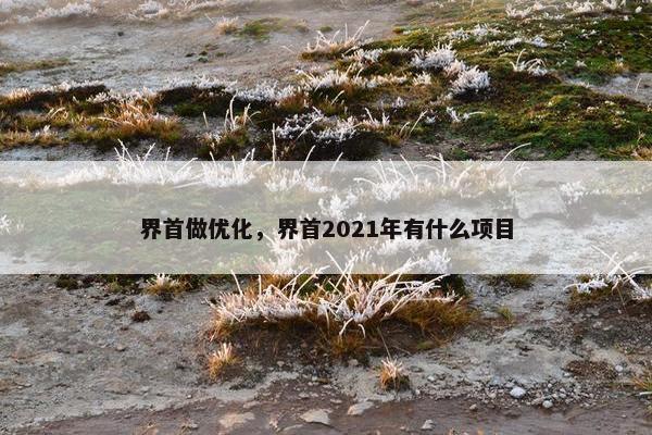 界首做优化，界首2021年有什么项目