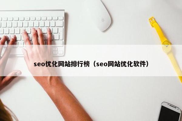 seo优化网站排行榜（seo网站优化软件）