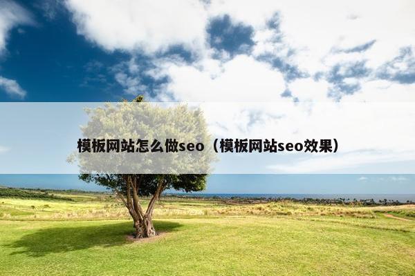 模板网站怎么做seo（模板网站seo效果）